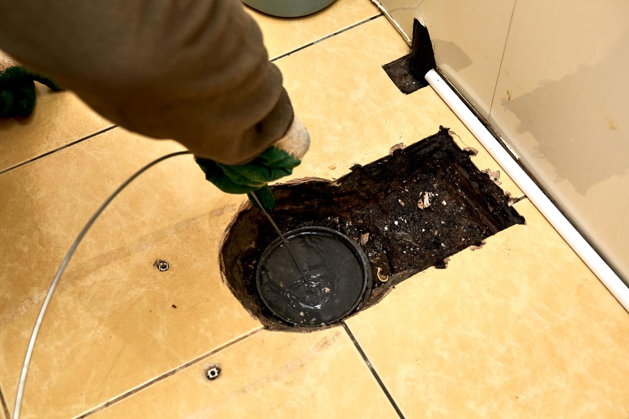 Image of Signs You Need Professional Kitchen Drain Cleaning